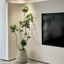 鸭脚木仿真绿植轻奢室内客厅仿生大型盆栽落地假植物