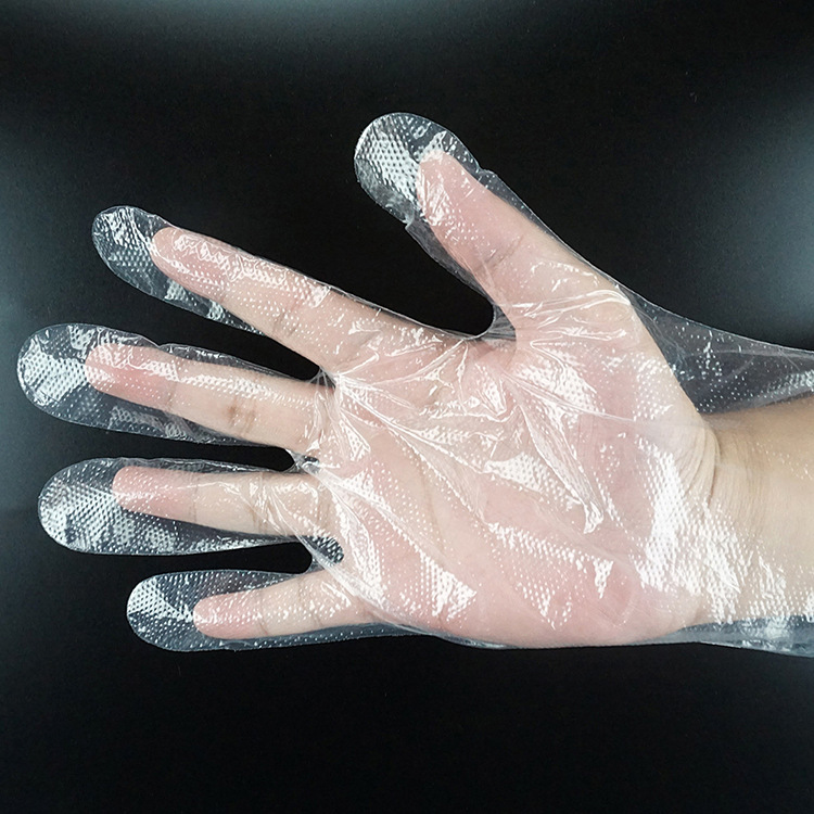 Plastic disposable waterproof gloves for hotel