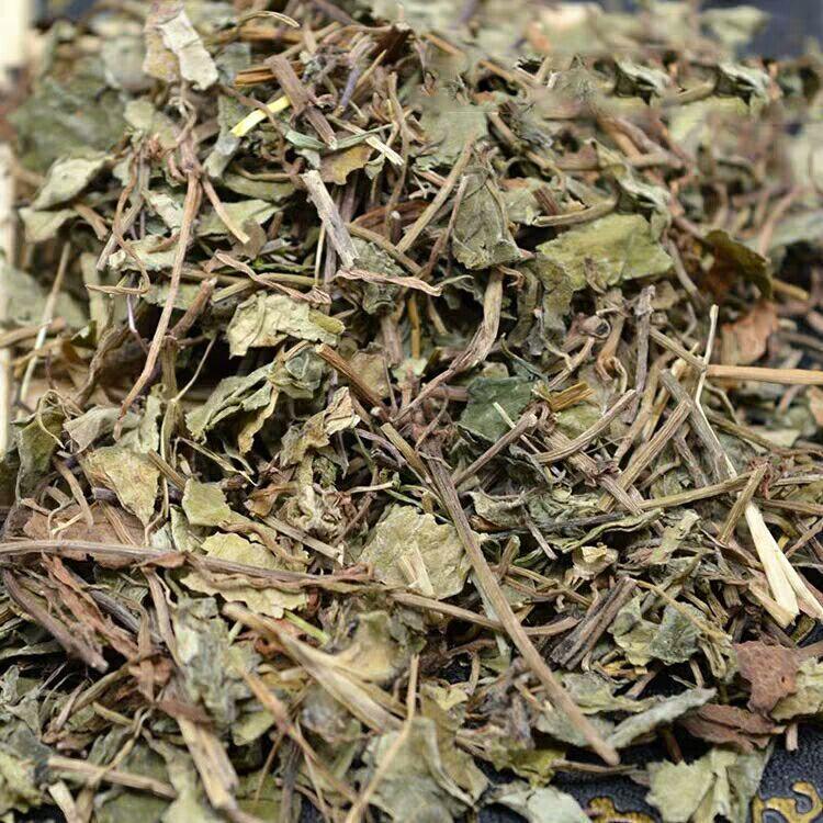 Dried Jin Qian Cao 金钱草 Loose Herb Slices for Traditional Tea and Decoction 500g key features