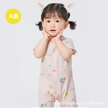 �����B�w�냺�·���������������2025�¿����bȫ�ޱ���