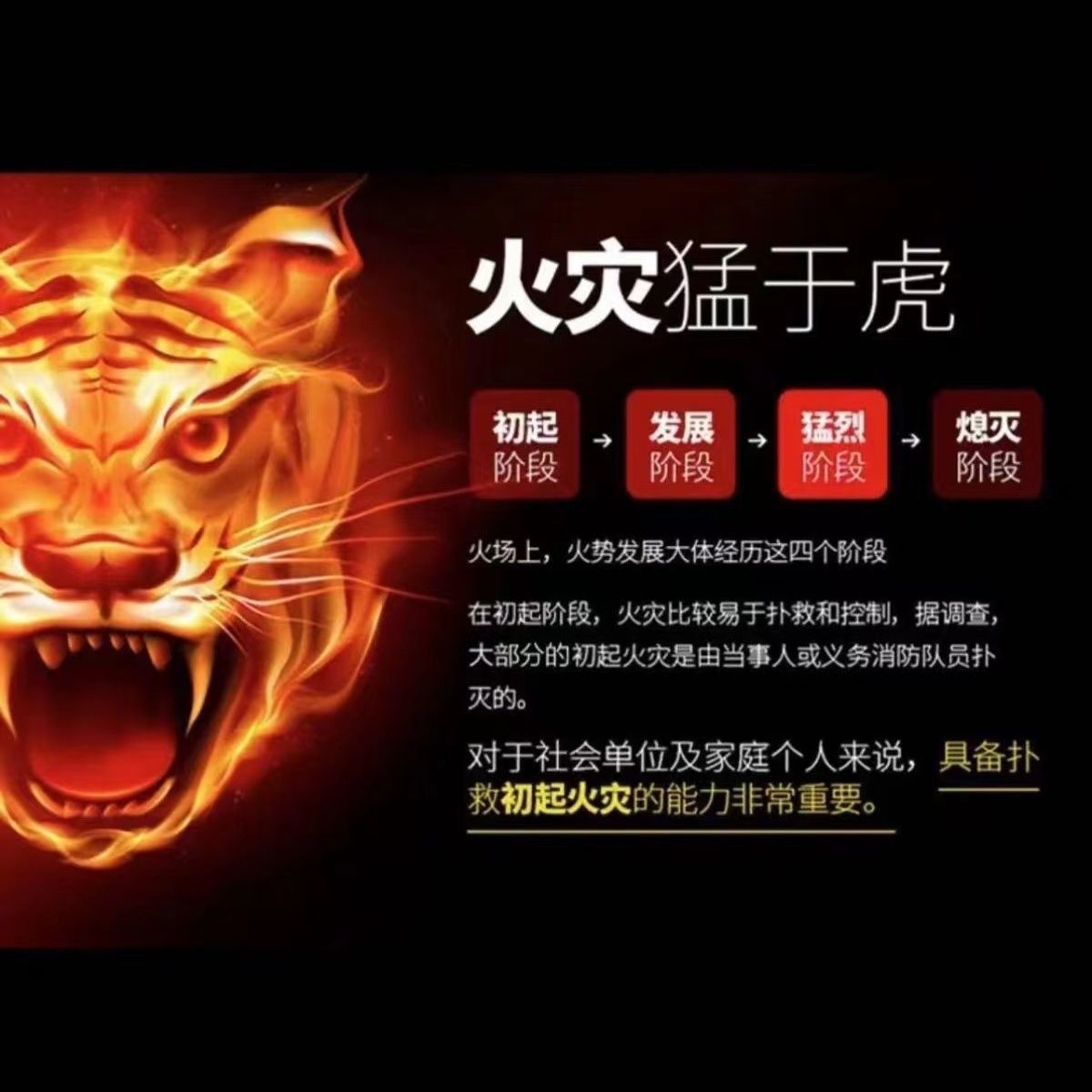 Car fire extinguisher car household small portable fire certification annual inspection car low temperature water-based fire extinguisher