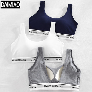 Summer New Style Beautiful Back Intimates Women's Vest with Padded Bra Without Rims Bottoming with Sports Fixed Cup Wrap