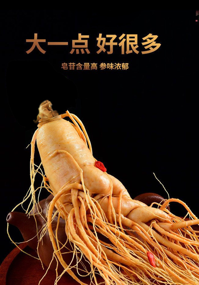 Fresh Changbai Mountain Ginseng Ren Shen Whole Root for Wine Infusion and Soup Making Gift Box key features