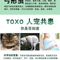 Тестовая бумага для определения токсоплазмоза для домашних животных, кошек и собак, инфекционных собак и кошек, беременных женщин Карта для определения вируса TOXO