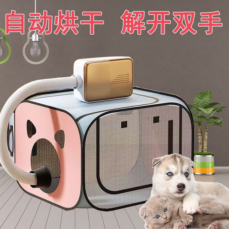 2c412ab4-fa0c-4fa8-a9ae-97f37bb3f2b5.jpe