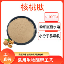 核桃肽粉核桃仁蛋白肽核桃低聚肽核桃小分子肽现货供应100g/袋