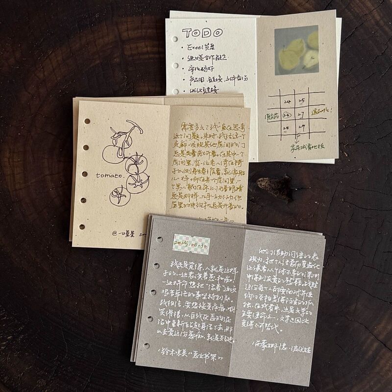 M5 Milk Tea Color 80% off Loose-Leaf Notebook Inner Pages with High Aesthetic Value, Vintage and Textured Inner Pages for Loose-Leaf Notebooks