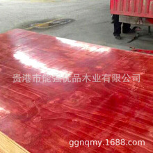 供应酚胶建筑红板模板 表面防水涂层耐磨 板芯实心密实高层建筑