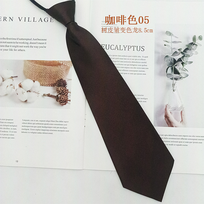 Los fabricantes venden al por mayor corbata con cremallera para mujer, fácil de tirar, sin estilo, moda de negocios profesional, corbata casual de color sólido para mujer