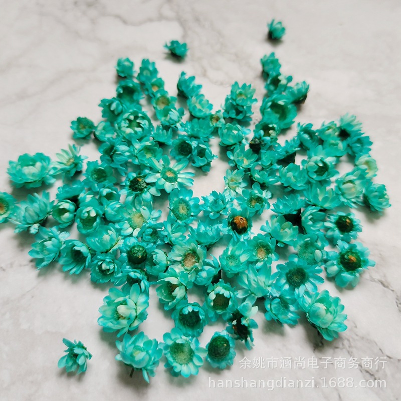 Cabeza de flor de estrella brasileña sin varilla flor seca diy mini margarita cristal epoxi relleno decorativo cabeza de flor seca