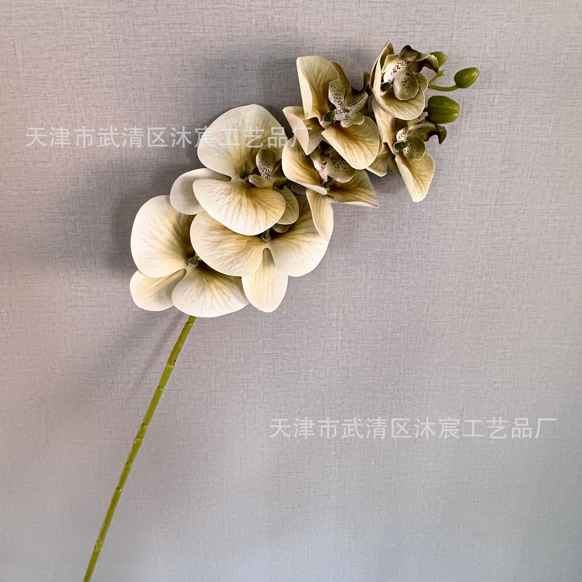 3D 7-cabeza Phalaenopsis mano-sensación de película Phalaenopsis venta al por mayor boda hogar decoración floral tiro flor material