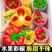 现摘生吃不辣甜椒五彩椒5斤新鲜圆椒红椒黄椒绿椒辣椒水果椒全年
