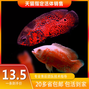 �ڰ׵؈D�~�i���~�W�^�~�y���~�д��͵�ˮ����Ꭷ�^�p�~���w