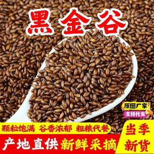 �ڽ����(Ұ������)�ڶ�������s�Z�ּZ���˰�����ʳ������ԭζ