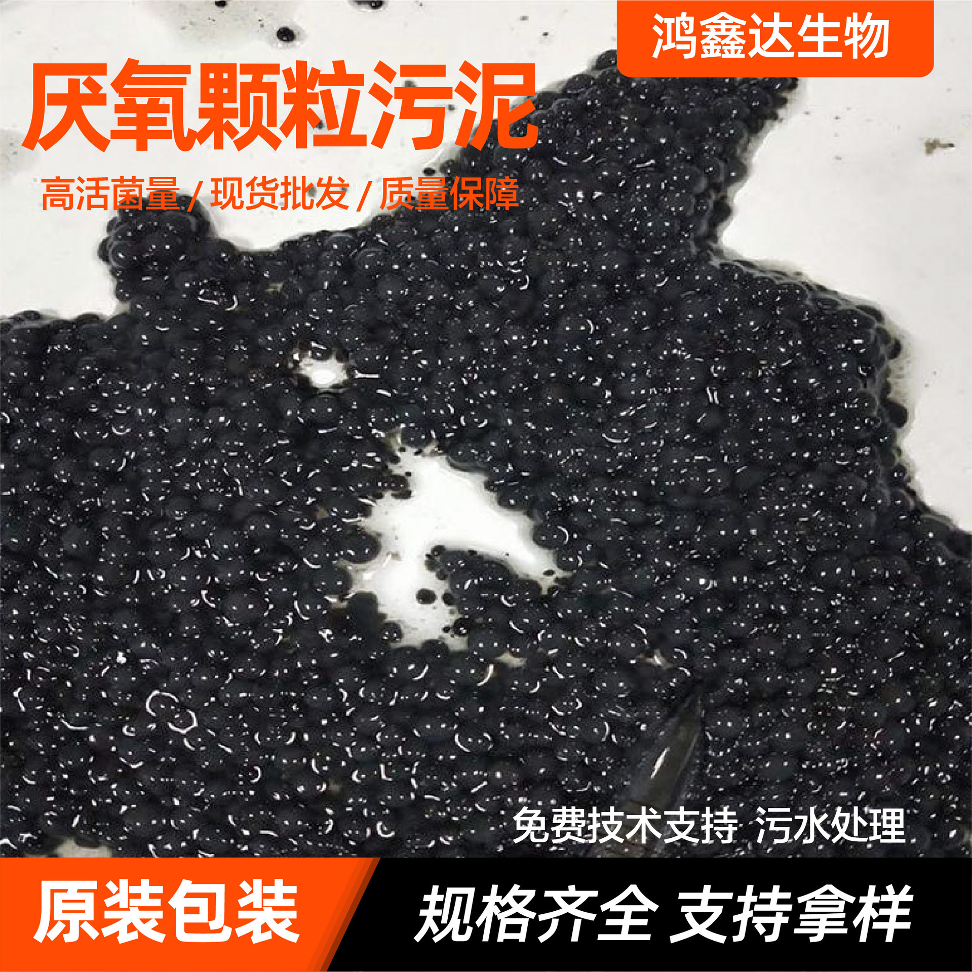 厌氧颗粒污泥活性污泥生物菌种污水处理厌氧氨氧化菌红菌