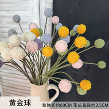 �S������滨ins���W�Ҿ��b��Ô[���S����ٻ�������������