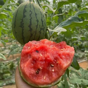 ����2K��˺����С���Ϯ����r��Ƥ�����5�����rˮ��һ�����l