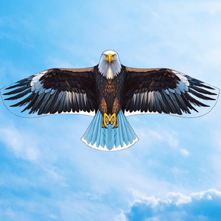 New Bald Eagle Kite to Scare Birds, Weifang Eagle Kite, Foreign Trade Cross-Border Simulation Pastoral Eagle Kite