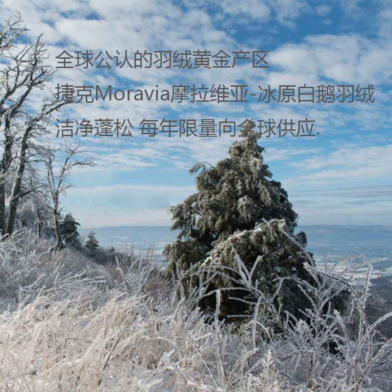 长方形lv白鹅绒mo枕头摩拉维亚大陆成年人捷克马Da化纤普通纤维