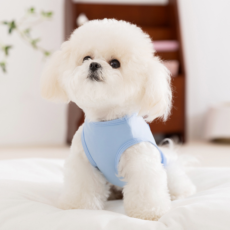 Chaleco de costura de color de contraste simple transpirable delgado para perros de primavera y verano, ropa de perro de peluche para perros pequeños y medianos, ropa para mascotas