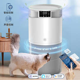 PJ12智能负离子宠物空气净化器WIFI家用除甲醛PM2.5海帕滤网跨境