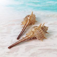 Ů�׹�����Ȼ����ؐ�������׹����Ĕz���ߵ�̨�~���b�Ʒ�쾰�[��