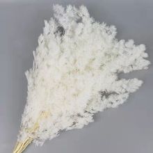 ɻRɱrdiyֹ϶YﻨĻcҾӲ廨b