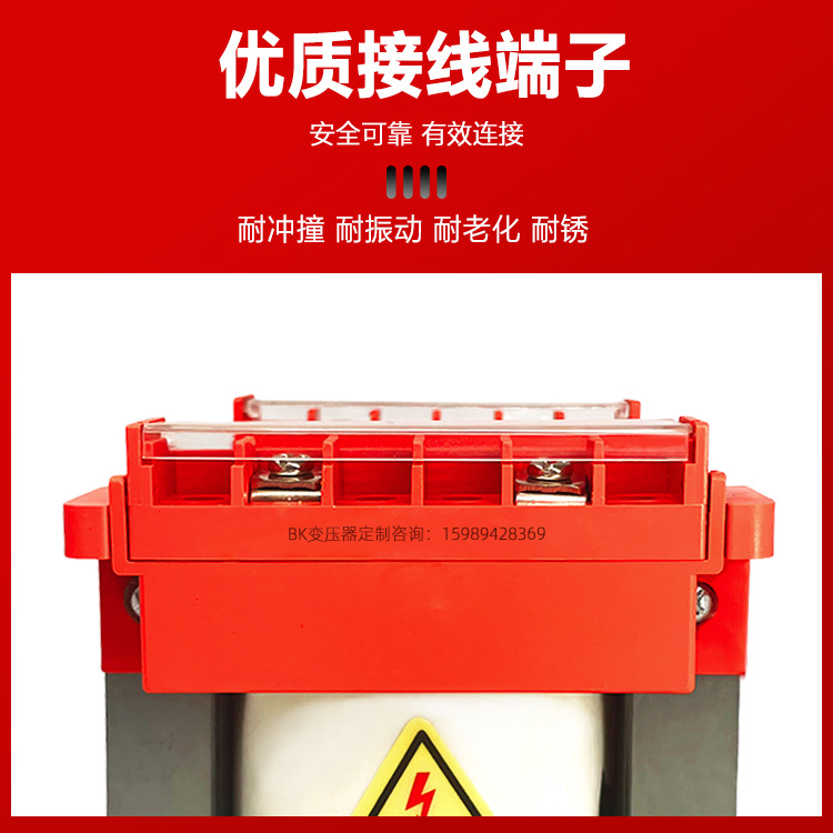 Caiting Transformer, 220V, 110V, 200W