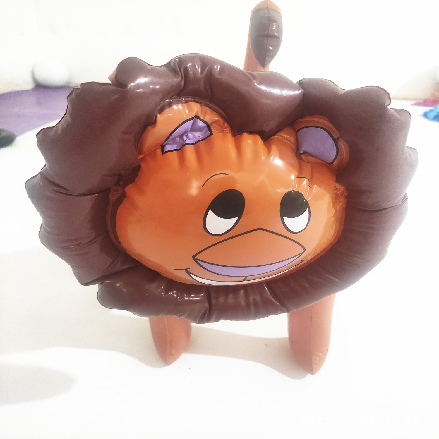 IMG_20220708_135500_Copy