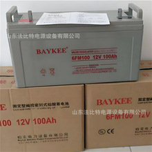 ����ؿ��U����늳�6FM100��S�o12V100Ah UPS����Դ