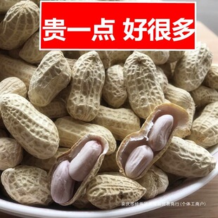 ������ˮ�����ו���}ˮ���̸ɝ�500gx2���bɢ��������ʳ�خa