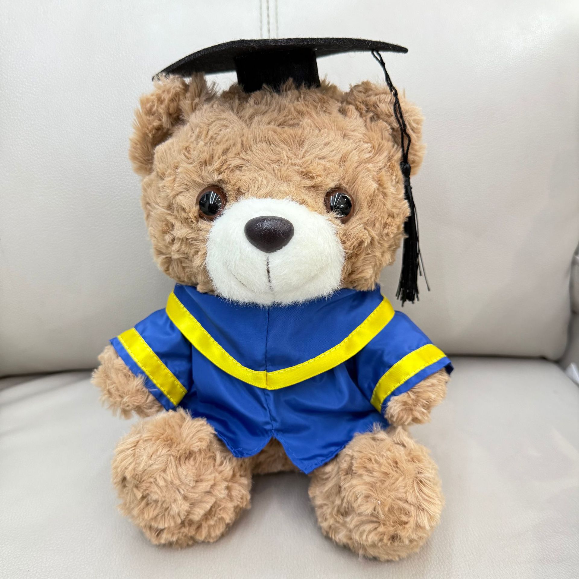 Graduación Teddy Bear Puppy Doctor Teddy Bear School Print logotipo regalo de graduación