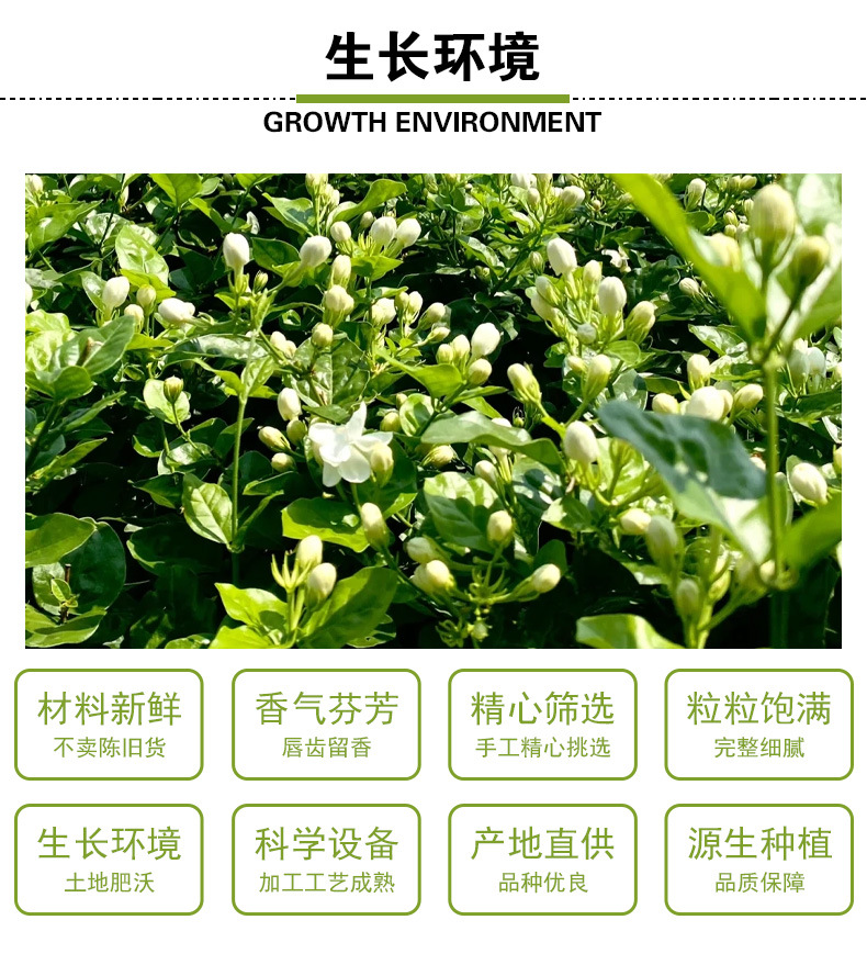 Dried Jasmine Flowers (Jasminum sambac) — Hengxian Guangxi Herbal Tea, 500g Loose key features