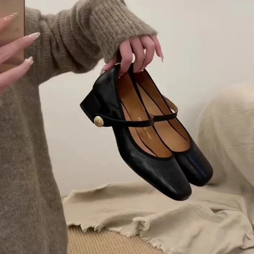 Brown Mary Jane Flat Shoes for Women 2025 Spring and Autumn French Style with Skirts, Elegant Rough Heel Leather Shoes