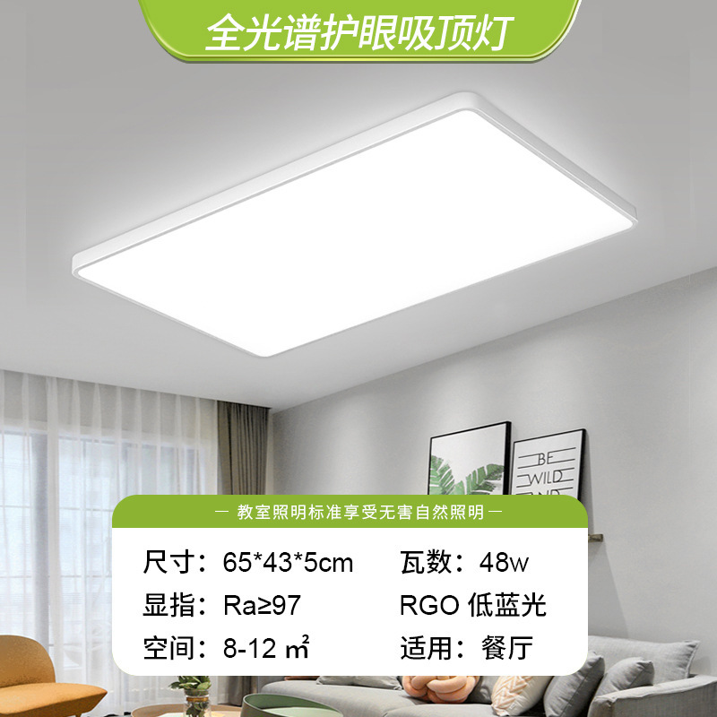 Espectro completo - rectangular 65 * 43CM - 48W