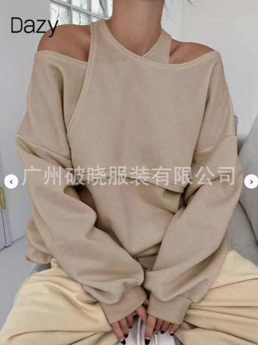 2025春季跨境外贸独立站亚马逊wish欧美新品纯色不对称卫衣|undefined