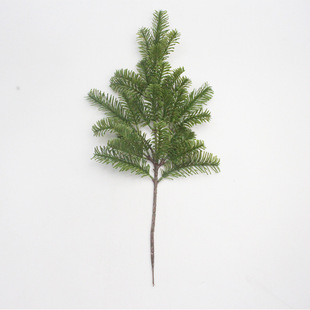 ����ֲ��ˮɼˮ�ɾGֲɼ���ɼ��ɼ��t��ɼ�����쾰�٘�S�����l