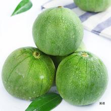 新鲜绿宝甜瓜5斤带箱水果包邮香瓜当季时令小甜瓜脆瓜绿宝石