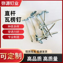 加工定制瓦楞铁钉伞头直杆瓦楞钉规格齐全多用途大量批发镀锌钉子