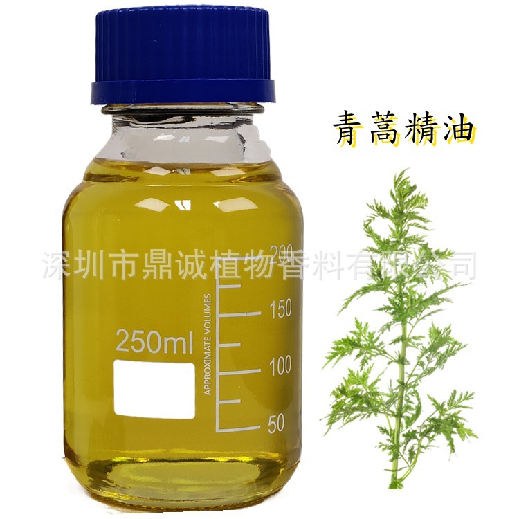 【茎叶精油】黄花蒿精油青蒿精油蒸馏提取用于医药化妆品护肤品