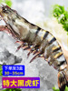 黑虎虾促销新鲜大黑老虎鲜活海鲜水产九节基围斑节批发代发亚马逊