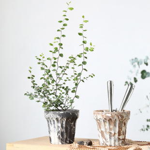 ���⼡���y��ɫ����̥��ˇ����Gֲ����g̥�o��͸���մɻ����п�