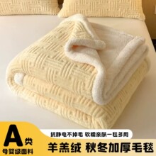 羊羔绒毛毯加厚冬季珊瑚绒毯子单人午睡办公室保暖牛奶绒沙发盖毯