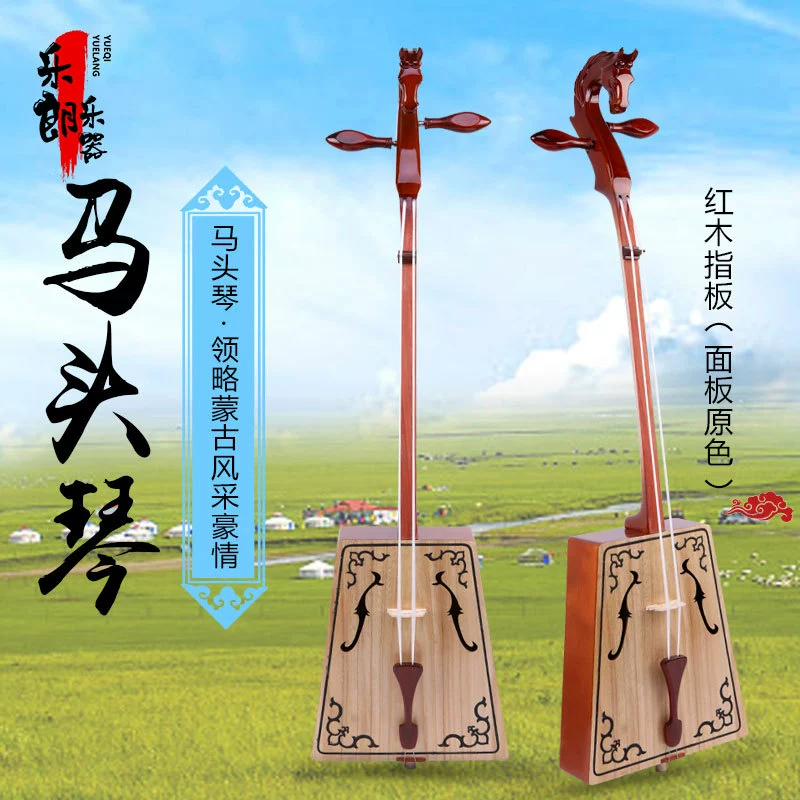 Musical instruments, professional practice with accessories, for beginners, full set