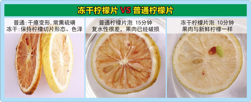 Freeze-Dried Lemon Slices (Citrus limon) — Anyue Lemon Fruit Pieces for Cold Brew Tea preparation