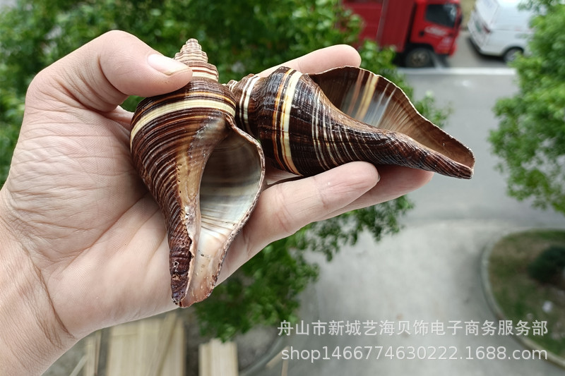 微信图片_20220630172644_副本1