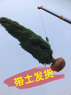 �ؘ��������ر���ɰ؂Ȱ؈A���ɘ䌚�������ش̰���u�L���ͺ�
