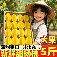 广西新鲜杨桃5斤当季水果清甜孕妇水果五角星红龙杨桃阳桃整箱