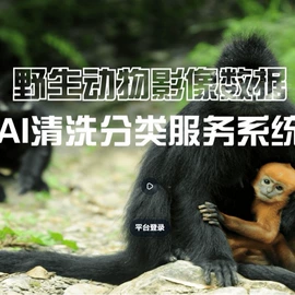 其他监控器材;其他报警器;报警探测器