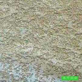 供应黄粉虫种卵，货到付款，签订回收合同